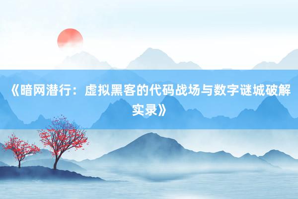 《暗网潜行：虚拟黑客的代码战场与数字谜城破解实录》