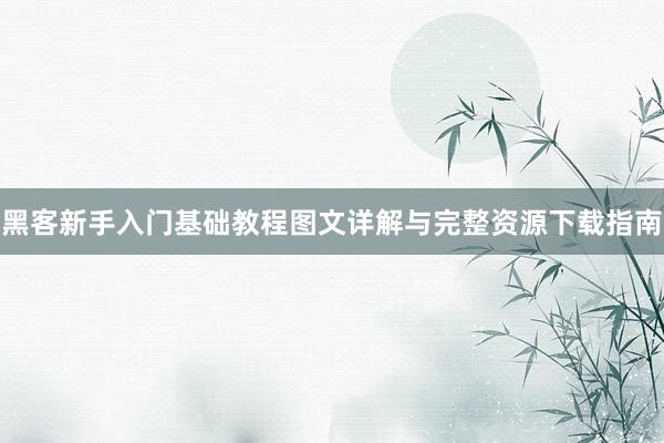 黑客新手入门基础教程图文详解与完整资源下载指南
